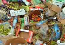 Spreco alimentare: dalla denuncia alla regolazione