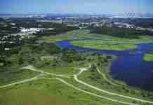 Fresh Kills Park: dalla più grande discarica al parco di New York